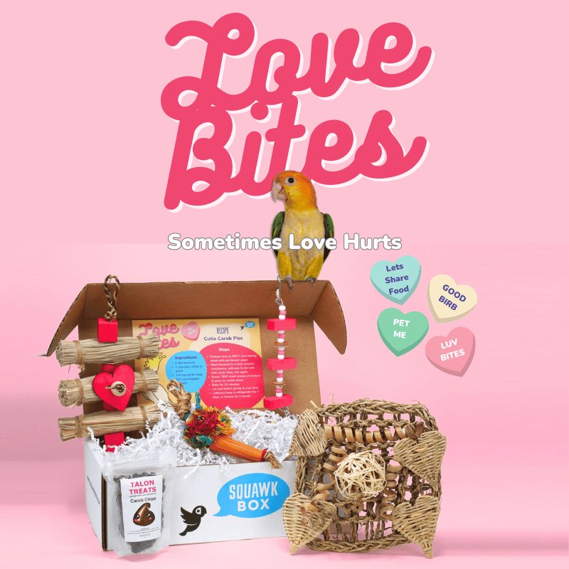 Love Bites Squawk Box