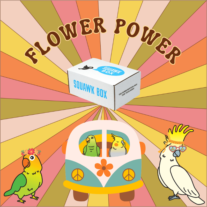 Flower Power Squawk Box