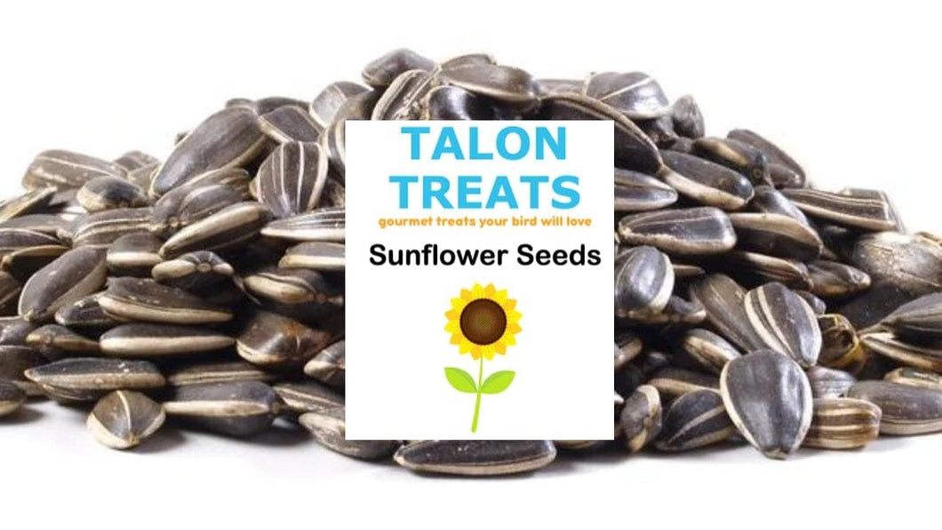 Raw Sunflower Seeds: 1lb
