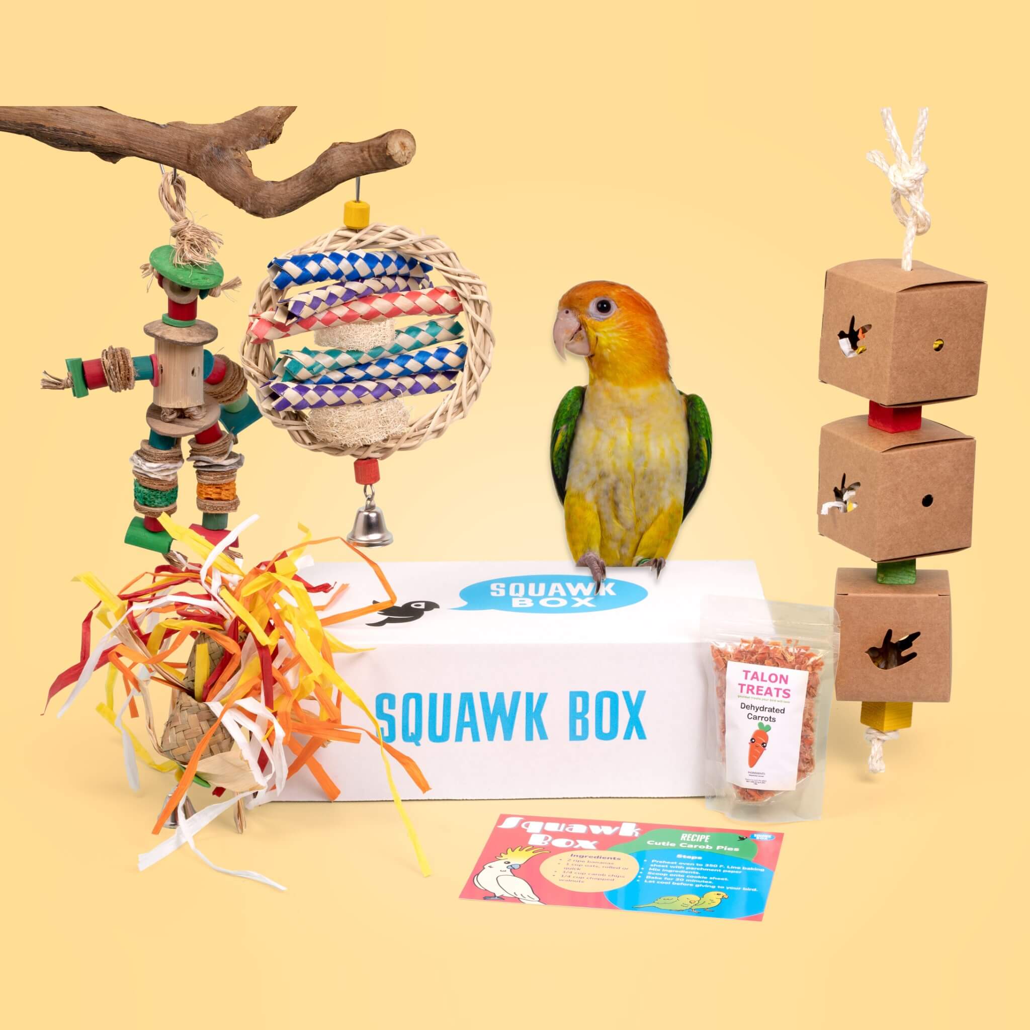 Squawk Box | Middle Birdie Toys and Treats Subscription Box