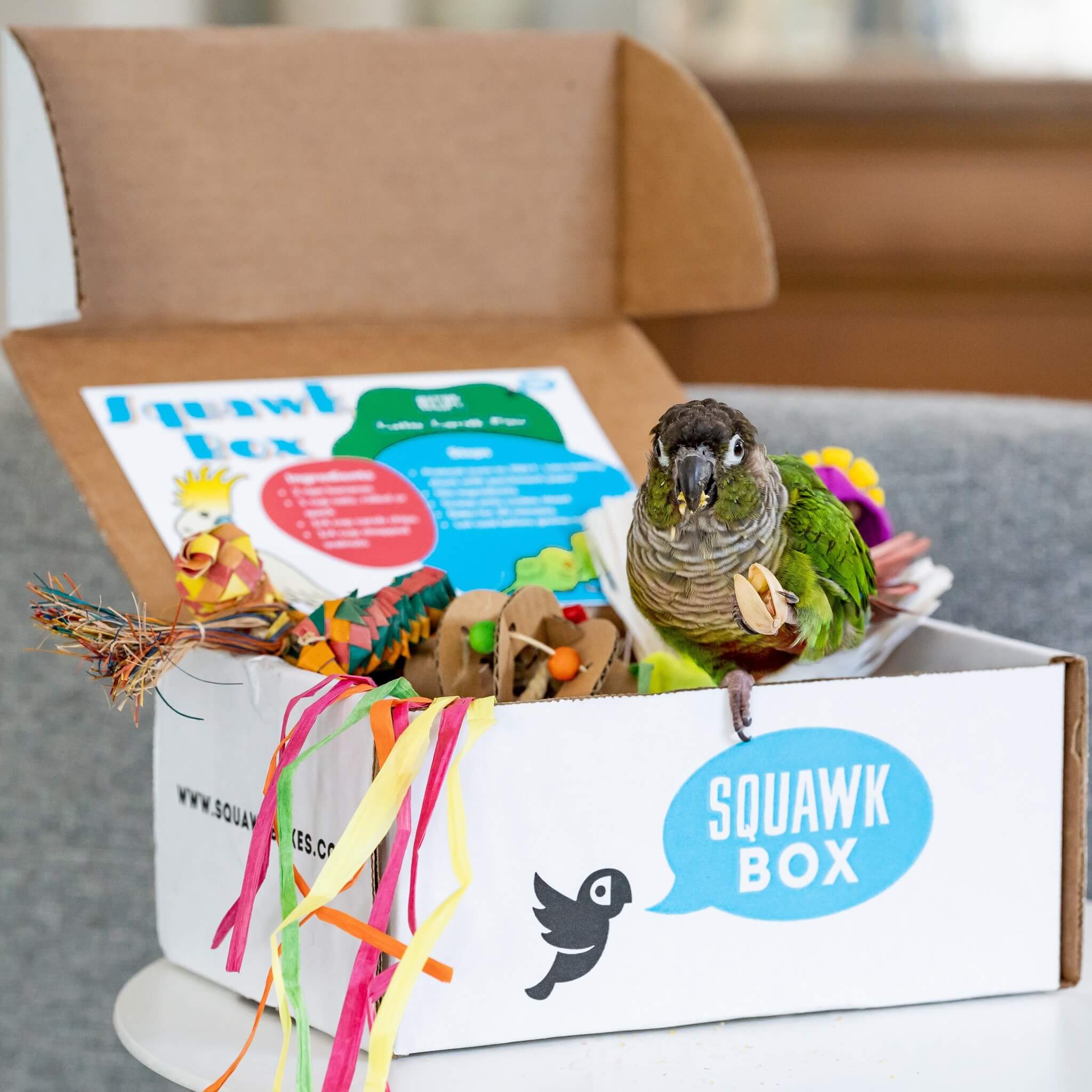 Squawk Box Little Birdie Toys & Treats Box